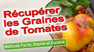 Tuto  Comment Récupérer et Conserver les Graines de Tomates  Méthode Simple et Efficace [upl. by Llerrej]