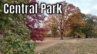 🇺🇸 Autumn Walk in Central Park 4K Virtual Walking Tour [upl. by Ahsil745]