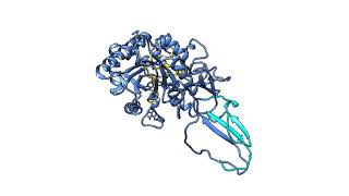 Elephantulus edwardii Chitinase Enzyme [upl. by Scottie]