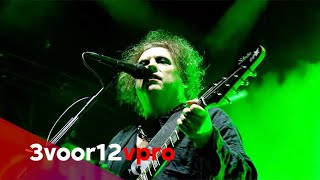 The Cure  A Forest live at Pinkpop 2019 [upl. by Lyj]