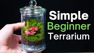 How To Make a Terrarium  An Easy Beginner Guide [upl. by Ahserak]