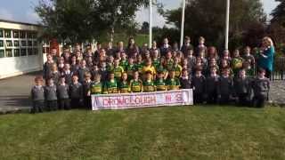 The Kingdom Green and Gold Dromclough National School 2014 [upl. by Lasonde]