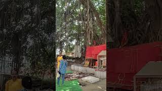 Akshay Vata  Immortal Tree Lord Ram rested 3 days before Vanaprastha  Fort on Banks of Sangam [upl. by Debera]