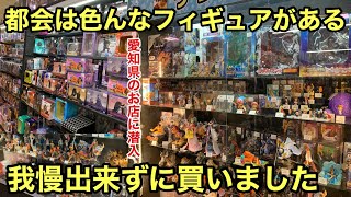 え！このフィギュアまで売ってんの！都会は凄いな！我慢出来ずに買ってきました！ワンピース フィギュア【ぶらショ】 [upl. by Elleynad447]