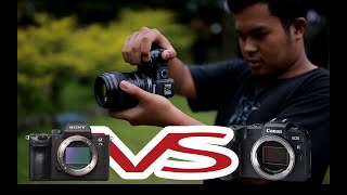 Tes Warna Canon EOS RP VS Sony a7iii [upl. by Anihsit]