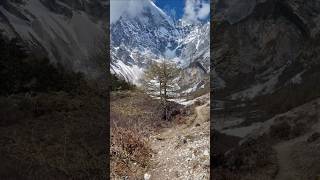 🕺🇨🇳China Yading pelgrim hike backpacking traditional travel [upl. by Massingill]