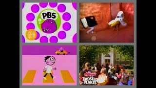 PBS Kids Program Break 2000 WGBH 4 [upl. by Essam647]