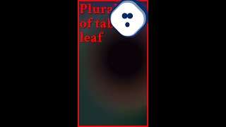 Per MerriamWebsters online dictionary either is a correct plural for the word leaf Th shorts [upl. by Hiett]