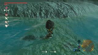 Korok seeds  Lake Ferona  Eldin Tower 14  Zelda BOTW [upl. by Nanji571]