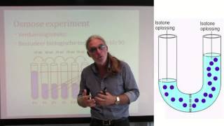 Osmose turgor plasmolyse grensplasmolyse [upl. by Raimund]