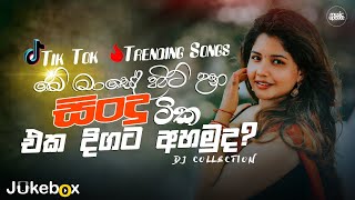 2024 Tik Tok Hit Songs මේ මාසේ හිට් උන ටික එක දිගට අහමු Tik Tok Hit Songs playlist 2024 [upl. by Oiligriv]