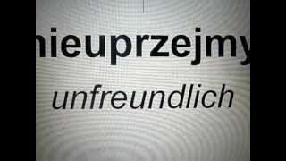 Polnisch für Anfänger  Einige wichtige Adjektive [upl. by Ladonna]