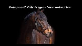 Kappzaum  Viele Fragen  Viele Antworten [upl. by Assirram]