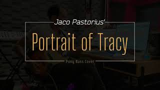 Portrait of Tracy  Jaco Pastorius Bass Cover [upl. by Ahsert]