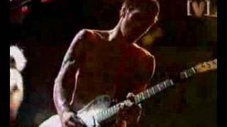 Red Hot Chili Peppers  Easily Live [upl. by Ellerud]