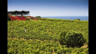 La Sicilia del vino punta sull’enoturismo di alto livello all’insegna dell’“autenticità” [upl. by Clinton425]