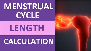 Menstrual Cycle Calendar Calculation Explained  Period Cycle Length Counting [upl. by Nahtnhoj139]