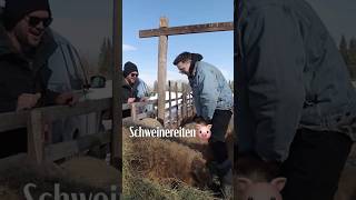 Schweinereiten 🐷 russland russia landwirtschaft landwirt bauer ranch ranchlife [upl. by Brunell456]