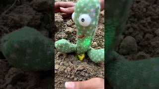 Cactus🌵me dost🥲ko kya ho gaya🥲🥹🤨shortsvideo [upl. by Cirdec636]