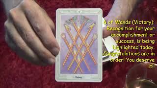 The Thoth Tarot 11824 Daily Tarot Reading [upl. by Esinaj]