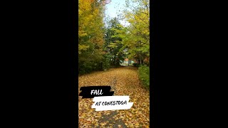 Fall at Conestoga Doon campus [upl. by Ajiak]