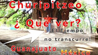 Churipitzeo Pénjamo 4k Ojo de agua y dos sabinos centenarios El tiempo se detuvo  EstanisYoutube [upl. by Nidroj891]