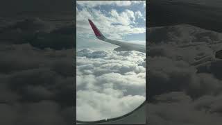 What if a plane collides with a cloud [upl. by Aifas303]