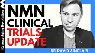 DAVID SINCLAIR quotNMN Clinical Trials Updatequot  Dr David Sinclair Interview Clips [upl. by Debbie]