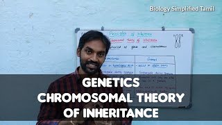 Chromosomal theory of inheritance  Genetics  Bilingual  Tamil  Senthilnathan [upl. by Tegirb]