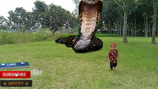 Anaconda snake movie part 4 HD video vfxsttv [upl. by Strickler782]