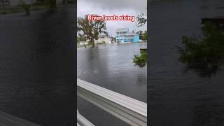 Cotee River level rising from Debby hurricane florida tropicalstorm explo explore [upl. by Shandra]