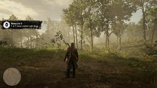 RDR2 Herbalist Challenge 3 [upl. by Tony202]