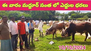 ఈ వారం మద్దూర్ సంతలో ఎద్దుల ధరలు Today Maddur cattle market 10102024 [upl. by Nita499]