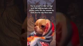 Side effects include Chihuahuaization Anthropology DogDomestication History ￼ [upl. by Lexie]