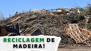 COOPERATIVA QUE RECICLA MADEIRA VOCÊ JÁ VIU reciclagem [upl. by Zarla]