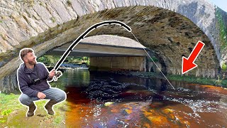 I traded my Fishing Secrets to Fish this UNTOUCHED Private River 😯 [upl. by Aynna]