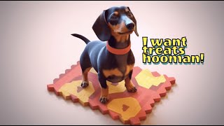 Dachshund talking to his hooman for treats [upl. by Ahsenrad]