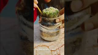 Create a Mini World at Home Building a Self Sustaining Ecosystem in a Jar  Layered sand terrarium [upl. by Cronin457]