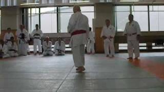 Judo  Itsutsu No Kata [upl. by Wystand]