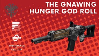 The Gnawing Hunger V2 Subsistence  Kill Clip God Roll  Destiny 2  PS4 [upl. by Ahtnammas561]