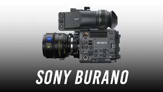 Sony BURANO  CineAlta Designed for Solo Shooters [upl. by Meerek415]