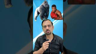 When Mike Tyson challenged a Gorilla shorts [upl. by Reis]