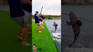 Village Traditional Bamboo Tools Polo Fishing Video Part300 fishingshorts​ fishing​ shorts [upl. by Nagaek]