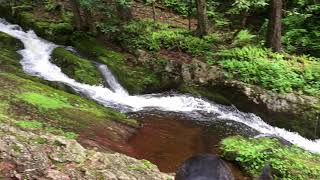 The Teacup in Tillmans Ravine Stokes State Forest NJ [upl. by Errol]