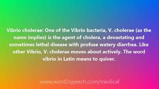 Vibrio cholerae  Medical Meaning and Pronunciation [upl. by Artinak]