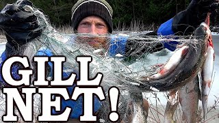 Testing Cheap Amazon Survival Gill Net Usually ILLEGAL  Rare Underwater Footage [upl. by Aciret269]