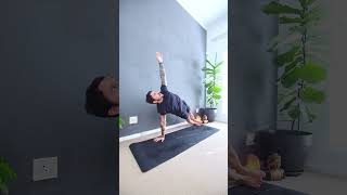 Beginners Vinyasa Yoga  Practise here 👆 [upl. by Ashok]