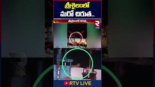 శ్రీశైలంలో మరో చిరుత సంచారం  Cheetah Hulchul At Srisailam Bus Stand  RtvLive [upl. by Eittak]