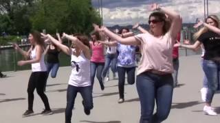 Best Arabic Dance FlashMob In Austria 2016 Dans Superb YouTube [upl. by Saxela]