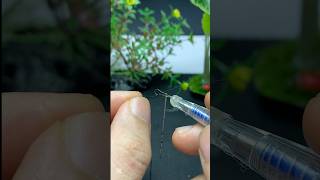 Ingenious ideas few people know Easiest way to thread needle with a pen diy tips tricks ideas [upl. by Aliab]